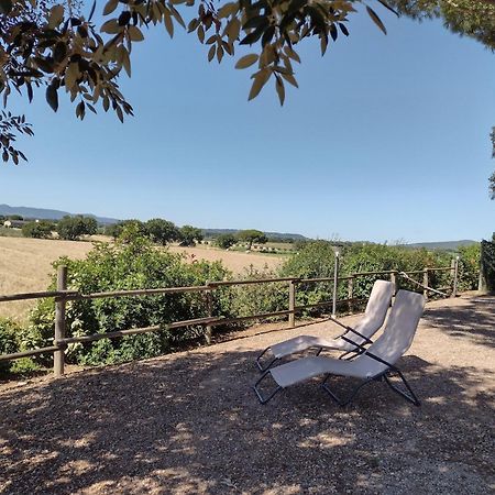 Agriturismo I Debbi Bibbona Ngoại thất bức ảnh