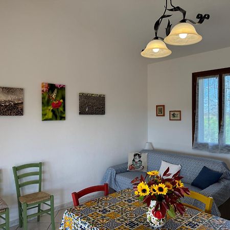 Agriturismo I Debbi Bibbona Ngoại thất bức ảnh
