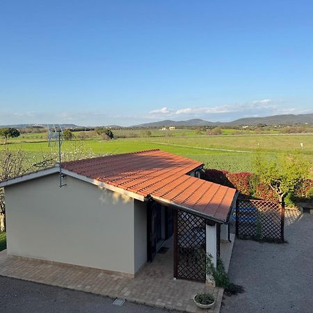 Agriturismo I Debbi Bibbona Ngoại thất bức ảnh
