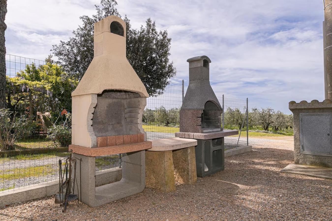 Agriturismo I Debbi Bibbona Ngoại thất bức ảnh