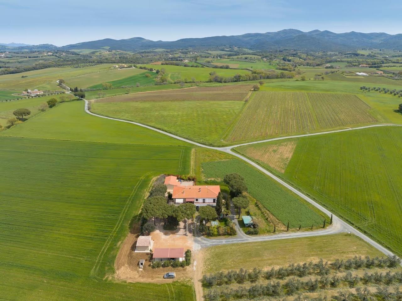 Agriturismo I Debbi Bibbona Ngoại thất bức ảnh