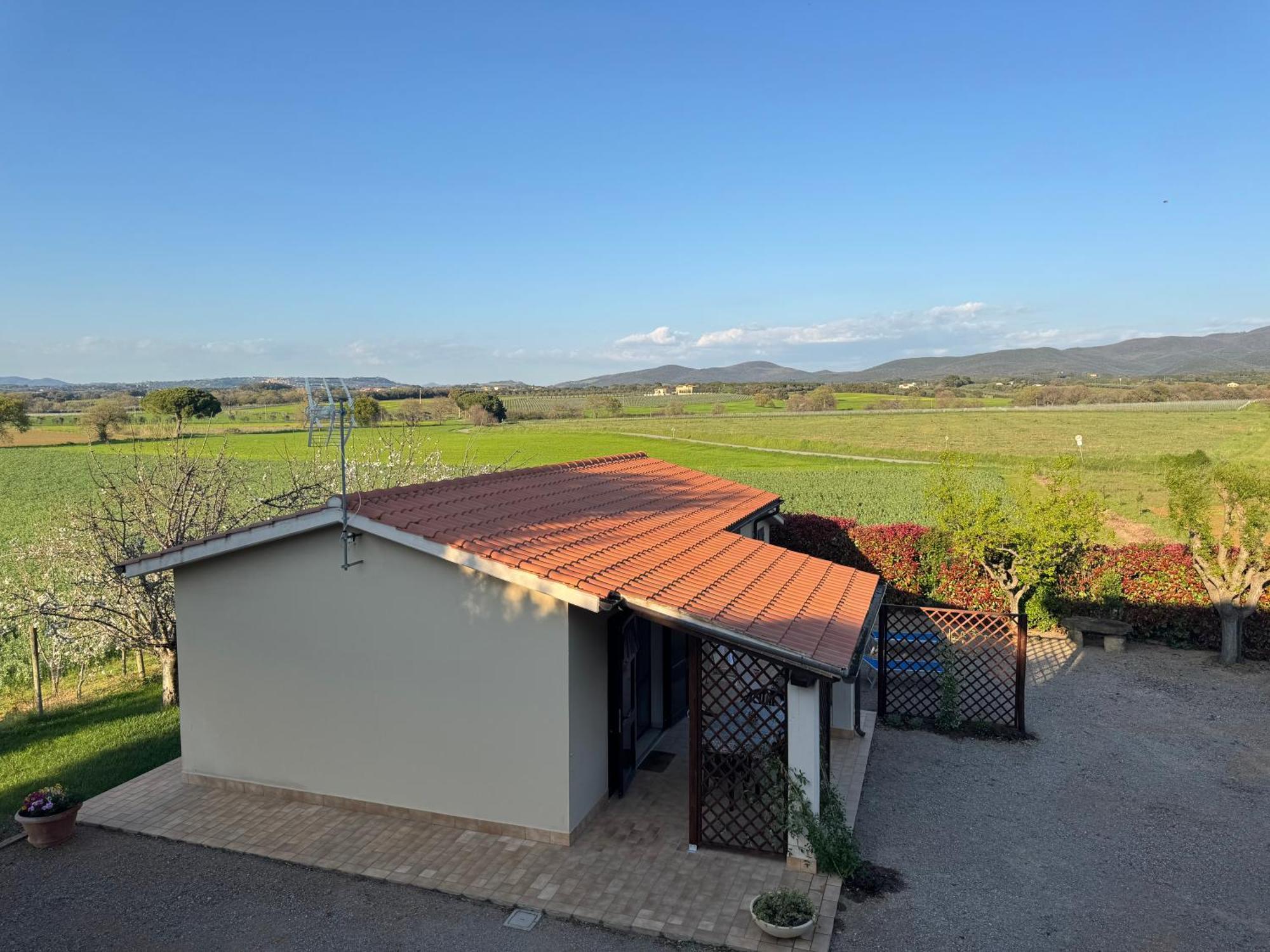 Agriturismo I Debbi Bibbona Ngoại thất bức ảnh